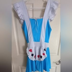 Vintage Alice in Wonderland Woman's Halloween Costume